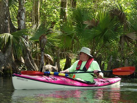 Gallery - Kayaking Silver Springs