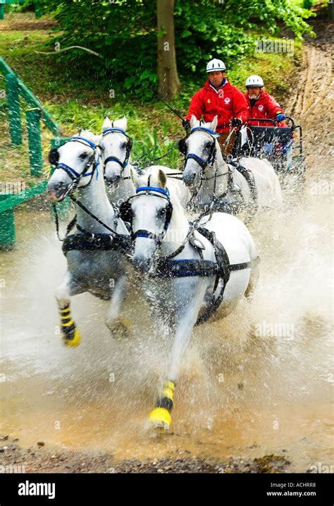 Carriage driving pond crossing hi-res stock photography and images - Alamy