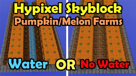 Minecraft Pumpkin Farm Layout