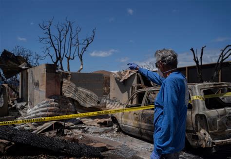 Lahaina family finds devastation in first visit home after deadly ...