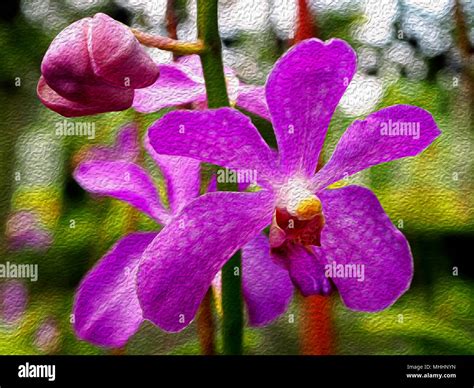 Flower oil painting hi-res stock photography and images - Alamy