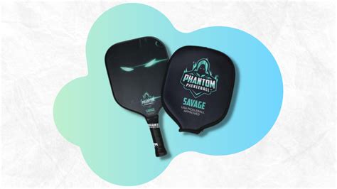 Get 20% off this Pickleball Pro Paddle with cover | Mashable