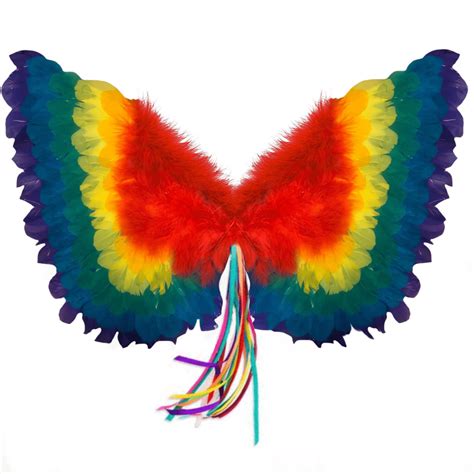 Rainbow Wings - The Costumery