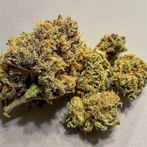 Strawberry Cough Weed Strain Information | Leafly