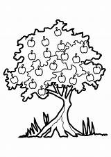 Elm Tree Coloring Pages At GetColoringscom  Free Printable Colorings sketch template