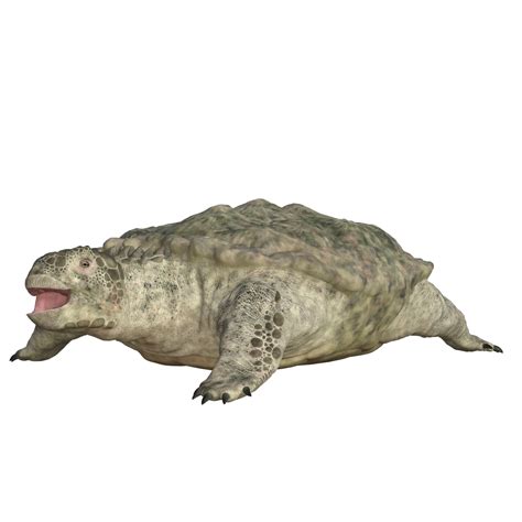 proganochelys geïsoleerd 3d geven 20037945 PNG