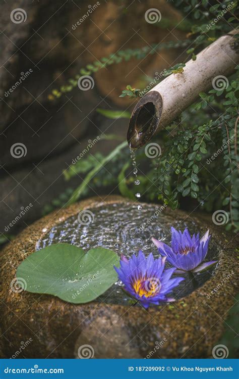 Beautiful Zen Garden with Lotus Flower and Bamboo Fountain on Nature Background Stock Photo ...