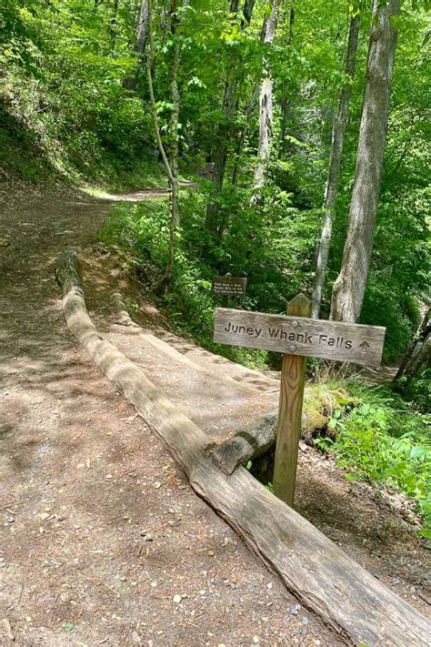 Deep Creek Hiking Trails (Great Smoky Mountains) - Champagne Tastes®