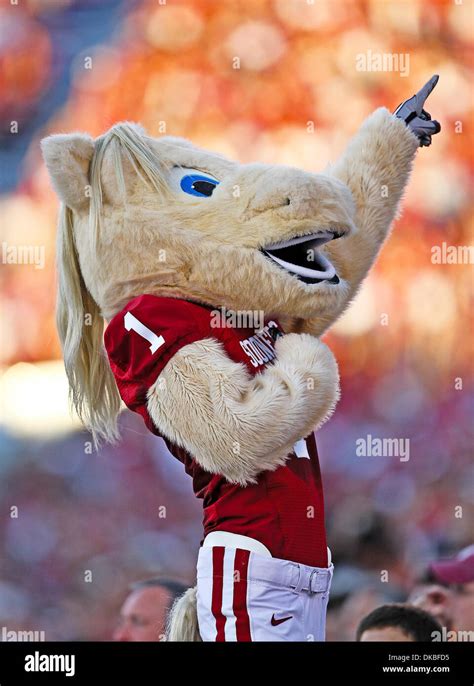 Oklahoma sooners mascot hi-res stock photography and images - Alamy