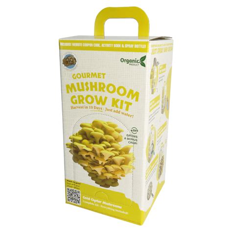 Mini Mushroom Grow Kit (Golden Oyster) - Cape Town Exotic Mushrooms