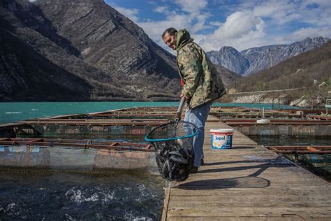 The Top Aquaculture (Fish Farming) Countries