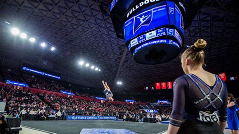 Here are the latest events relocated due to Stegeman Coliseum closing