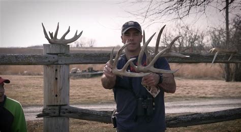 Shed season is all about finding deer sheds, but what can these sheds ...