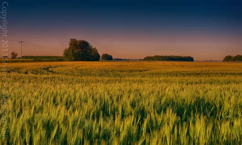 Alberta Prairie Sunrise - Landscapes of Western Canada by Shaun Merrigan