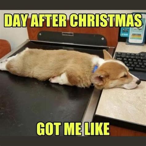 30+ Funniest Day After Christmas Memes 2023