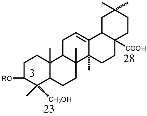 Application of Saponin-Containing Plants in Foods and Cosmetics ...