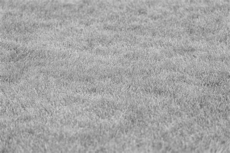 Premium Photo | Natural green sports turf grass grassy texture background