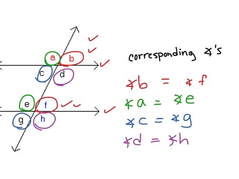 Corresponding angles | Math | ShowMe