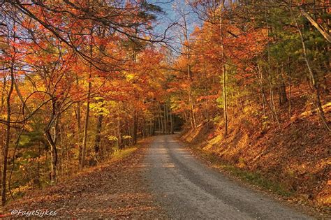 Entering Cades Cove, Great Smoky Mountain National Park, by Faye Sykes Photography [2048x1365 ...