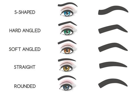 Choosing the Right Eyebrow Shape for Different Face Shapes - Modda Donna