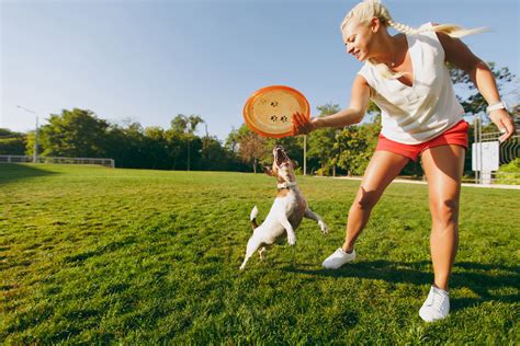 Dog Play: How to Keep Your Dog Physically and Mentally Active