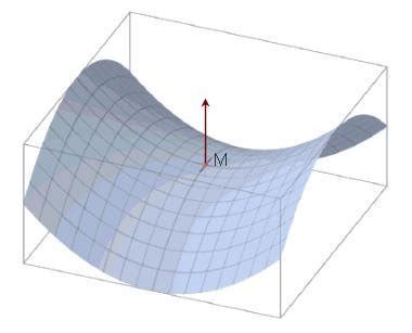 The saddle point example presentations. | Download Scientific Diagram