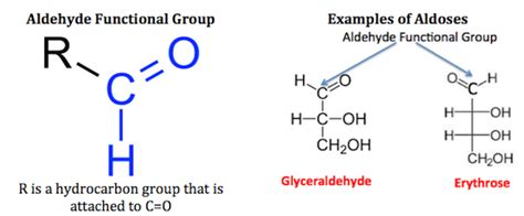 Monosaccharides: Definition, Structure & Examples - Video & Lesson Transcript | Study.com