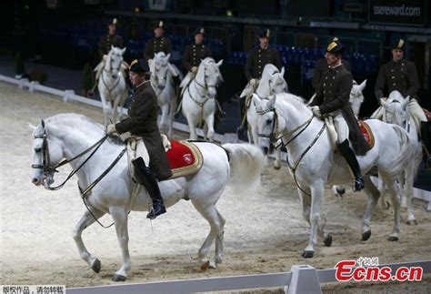 Spanish Riding School brings complex equestrian moves to London(3/7 ...