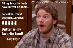 Andy Dwyer Quotes As Motivational Posters. QuotesGram