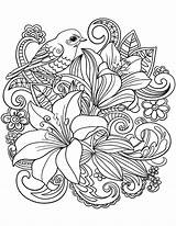 Best Adult Coloring Pages sketch template