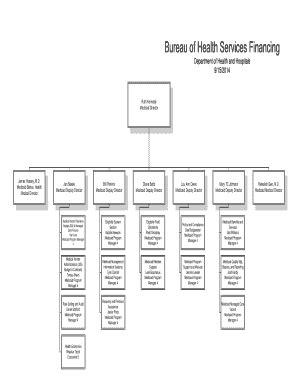 hospital organizational chart examples Forms and Templates - Fillable & Printable Samples for ...