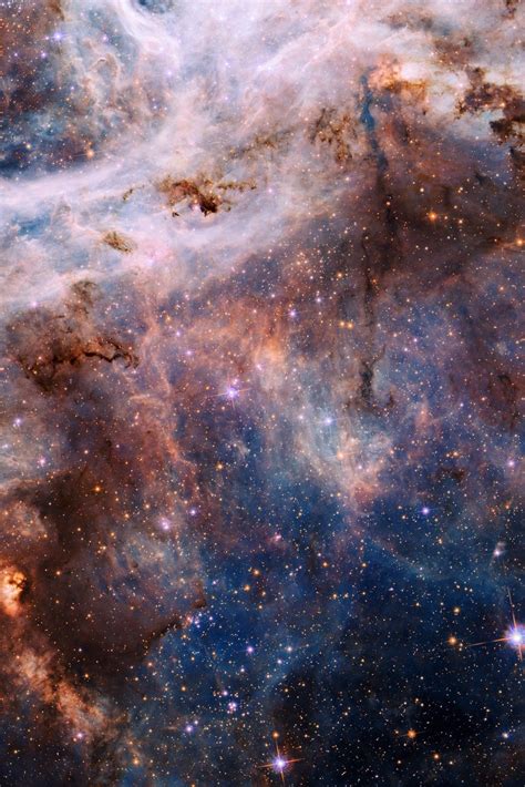 Tarantula Nebula Wallpapers - Wallpaper Cave