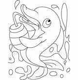 Dolphin Template  Animal Templates sketch template