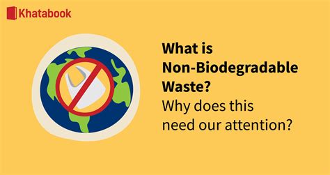 What Is Non-Biodegradable Waste?