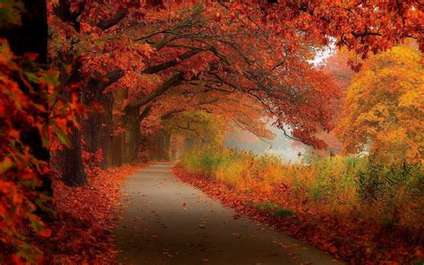 Fall Scenery Wallpapers ·① WallpaperTag