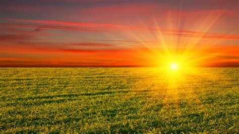 Golden sun over the green field - HD nature wallpaper