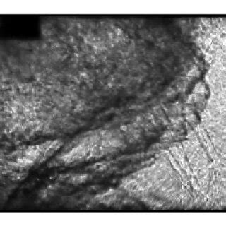 (PDF) Deflagration-to-Detonation Transition and Detonation Propagation ...