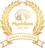 Mycelium