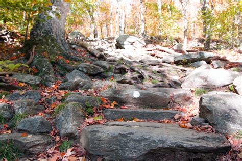 Guide to Mount Monadnock | The Most Popular Hike in New England