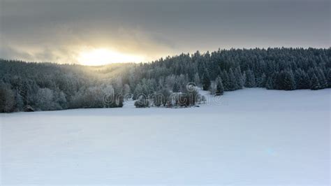 Polish Winter Landscape in the Mountains, Snowy Trees and Fields Stock ...