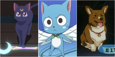 10 adorables compagnons d'animaux dans l'anime qui font toujours le ...