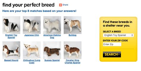 8 Dog Breed Selector Tools For Find Your Perfect Dog!