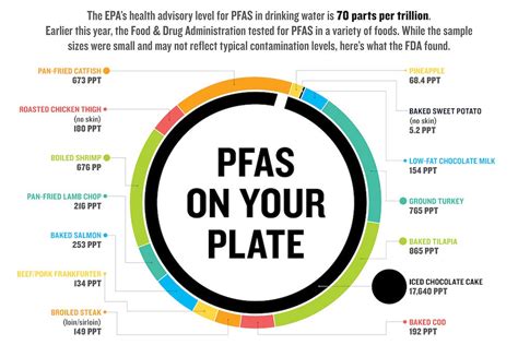 Is There PFAS Free Food - 100% Clean Freeze-Dried MealBetix Meal ...