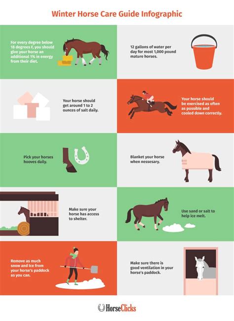 Info Graph: Winter Horse Care | HORSE NATION