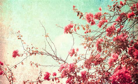 Vintage Aesthetic PC Wallpapers - Top Free Vintage Aesthetic PC Backgrounds - WallpaperAccess