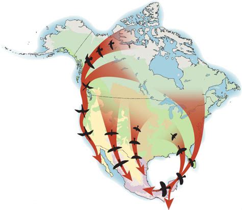 News Room – State of North America's Birds 2016