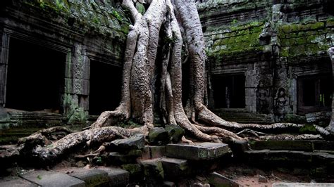 Angkor Wat Wallpaper HD (60+ images)