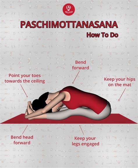 Paschimottanasana | Steps to do Seated Forward Bend | Benefits | Easy yoga workouts, Learn yoga ...