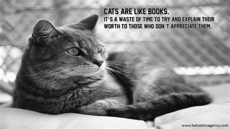 Cats are like books. | Cats, Cat quotes, I love cats