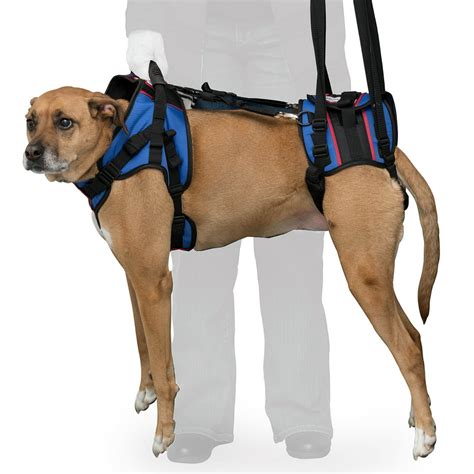 Lift Full Support Dog Harness for Small Dogs 30-49 lbs | Lift Support ...